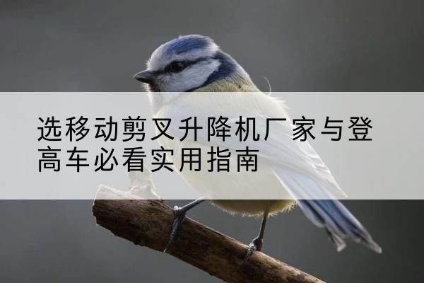 甘州电动升降机厂家-选移动剪叉升降机厂家与登高车必看实用指南