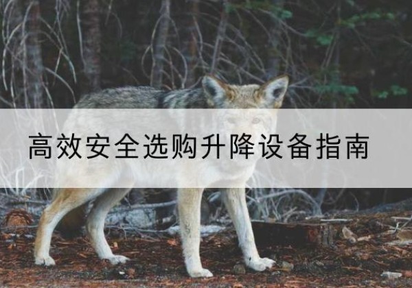甘州升降货梯厂家推荐-*安全选购升降设备指南
